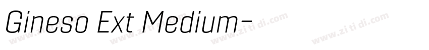 Gineso Ext Medium字体转换